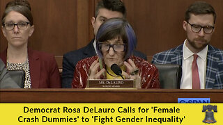 Democrat Rosa DeLauro Calls for 'Female Crash Dummies' to 'Fight Gender Inequality'
