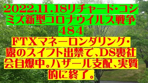 2022.11.18 リチャード・コシミズ新型コロナウイルス戦争４８４