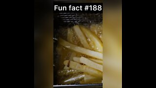 When french fries became popular?