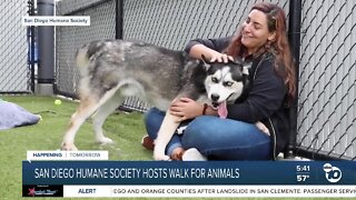 Walk for Animals Preview - no anshors