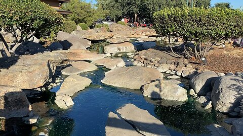 Stream in front of Bass Pro Shops