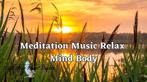 Meditation Music Relax Mind Body: Relaxing Music, Sleep Music, Calm Music, Soothing Relaxation