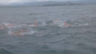 SOUTH AFRICA - Durban - Midmar Mile 2020 (Videos) (e7W)