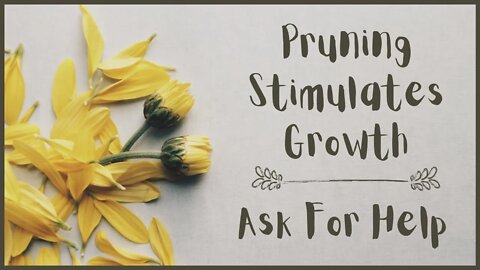 Pruning Stimulates Growth/Ask for Help