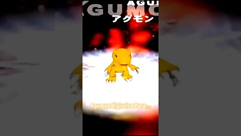 Agumon Digivolve Para...