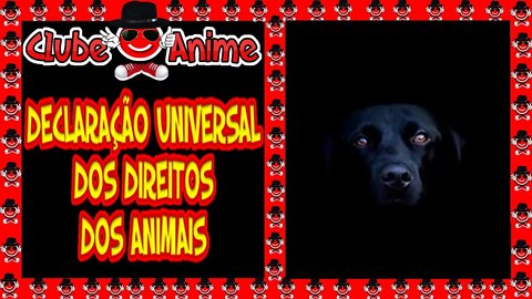🐶🐺🐾 DECLARAÇÃO UNIVERSAL DOS DIREITOS DOS ANIMAIS| Clube do Anime| 2021 🐶🐺🐾