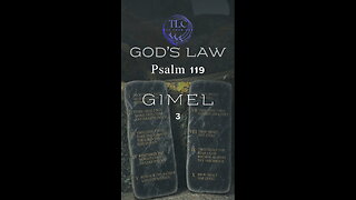 GOD'S LAW - Psalm 119 - 3 - Eyes to see God's law #shorts