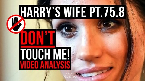 Harry´s Wife Part 75.8 : Don't Touch Me - Video Analysis