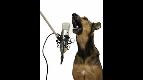 Singing Dog