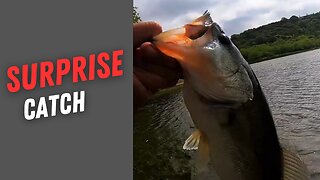 Surprise Catch!!