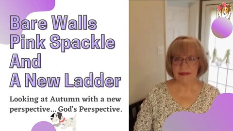 Bare walls - Pink Spackle And A New Ladder