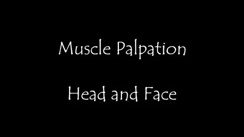 Muscle Palpation - Head and Face Masseter Temporalis Buccinator Orbicularis Oris Mentalis and more..