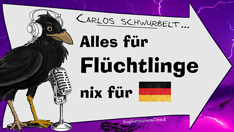 Werden "ehrenamtliche" Flüchtlingslotsen bezahlt?