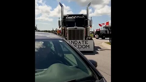 Manitoba Convoy : In Support of the Dutch Farmers Protests Slow Roll We Stand As One