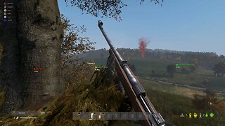 Long range iron sights kill on DayZ