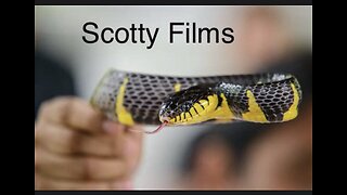 (Scotty Mar10) Al Wilson - The snake