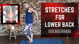 EASY Lower Back Stretches for BEGINNERS