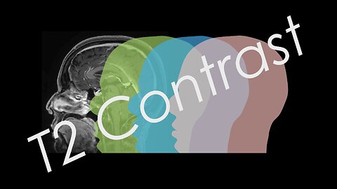 MRI T2 Contrast EXPLAINED (Lecture 5)
