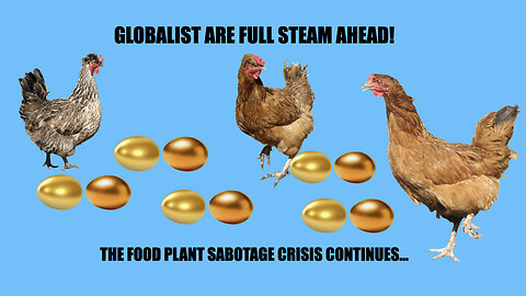 Globalist Are Full Steam Ahead!
