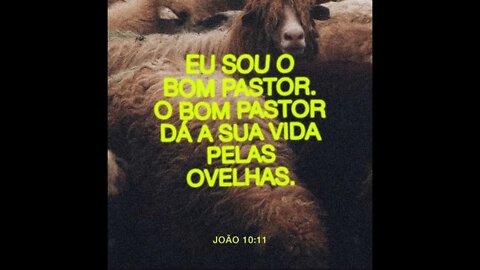 Seu Bom Pastor. #diogorufati #versiculododia #reflexão #jesus #palavra #metanoia #oração #vida #oi