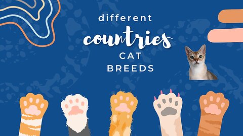 cat breeds in different countries