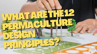 What are the 12 Permaculture Design Principles #permaculturelife