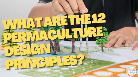 What are the 12 Permaculture Design Principles #permaculturelife