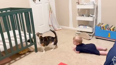 Best video of Cute Babies and Pets - Funny Baby and Pets #peachyvines #funnybaby #funnyvideos