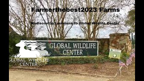Google Street View Madisonville to Global Wildlife Center Louisiana USA