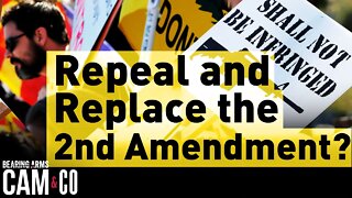 Repeal and Replace the 2nd Amendment?