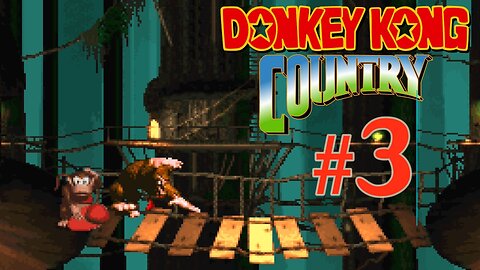 Donkey Kong Country 101% Part 3 - Vine Valley