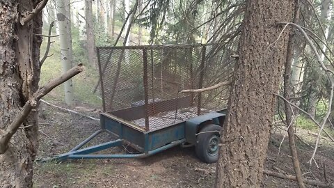 Free Trailer - The stuff you find in the Forest!