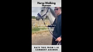 Horse Walking Human