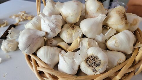 PROCESSING OUR GARLIC | ONE WAY WE ARE PRESERVING GARLIC THIS YEAR