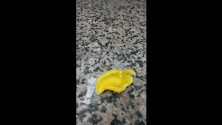 Little duck inside yellow papers wowwwww