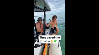 They Saved the Turtle ! BLESS THEM 💜