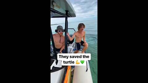 They Saved the Turtle ! BLESS THEM 💜