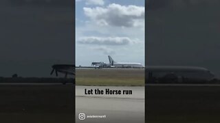 Mustang running wild