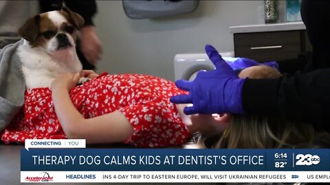 Therapy dog calms kids at dentist's office
