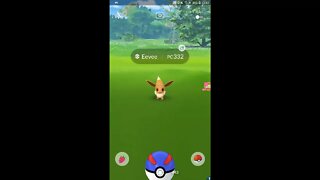 Live Pokémon GO - Dia Comunitário de Eevee