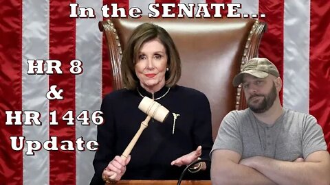 Gun Control Update: HR 8 & HR 1446... On to the Senate...