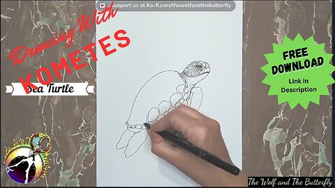 Mesmerizing Sea Turtle Drawing | Free Download