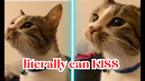 This cat literally can make kisses