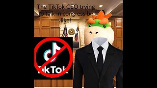 The TikTok CEO trying to talk in congress be like