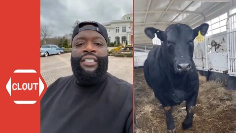 Rick Ross Is Excited After Buying His First Cow!