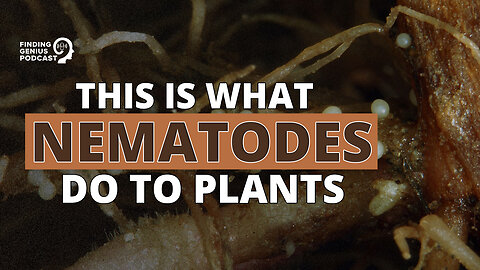 This Is What Nematodes Do to Plants