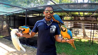 Animal Parks in Sri Lanka