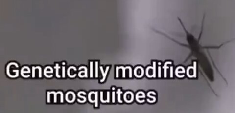 Vaccinating People Against Their Will Using Genetically Modified Mosquitos