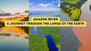 Amazon River: A Journey Through the Lungs of the Earth