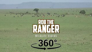 Driving Through The Maasai Mara Plains (In 360°)